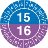 Inspection Date Labels